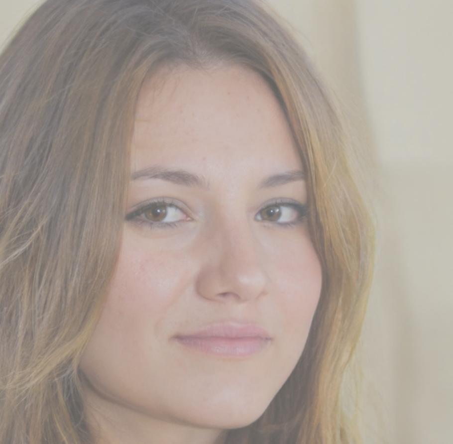 Dr. Anna Schmidt, Finanzexpertin
